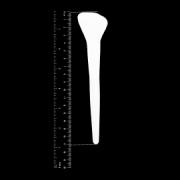 Alt_2